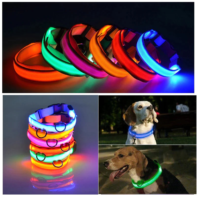Illuminate Your Pet's Safety with Our LED Adjustable Dog Collar - Waterproof, Blinking & Flashing Light Up Design