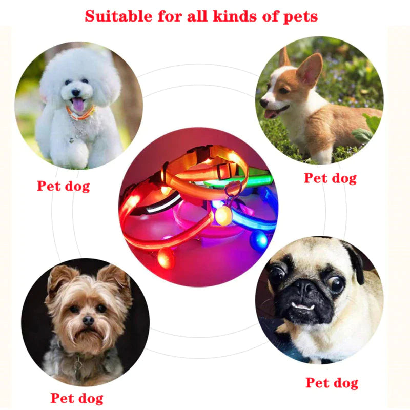 Illuminate Your Pet's Safety with Our LED Adjustable Dog Collar - Waterproof, Blinking & Flashing Light Up Design