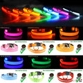 Illuminate Your Pet's Safety with Our LED Adjustable Dog Collar - Waterproof, Blinking & Flashing Light Up Design
