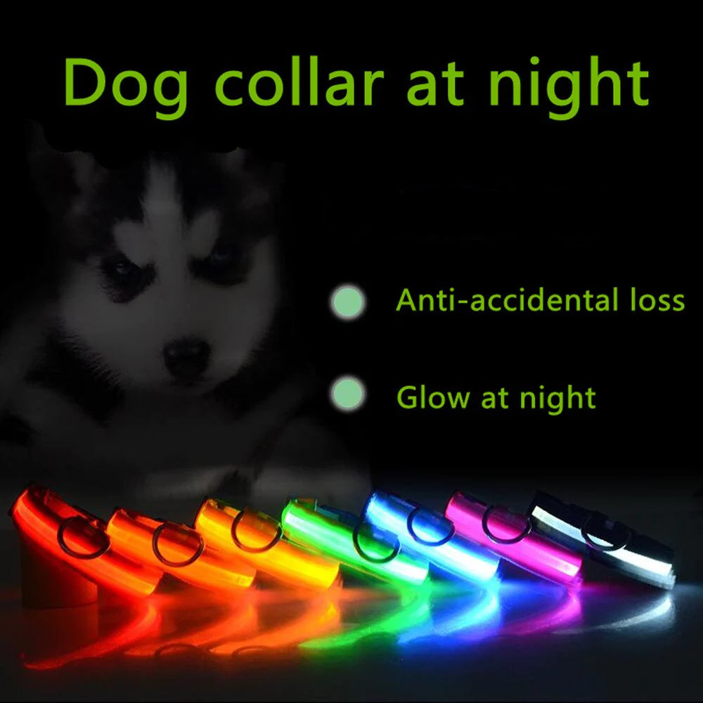 Illuminate Your Pet's Safety with Our LED Adjustable Dog Collar - Waterproof, Blinking & Flashing Light Up Design