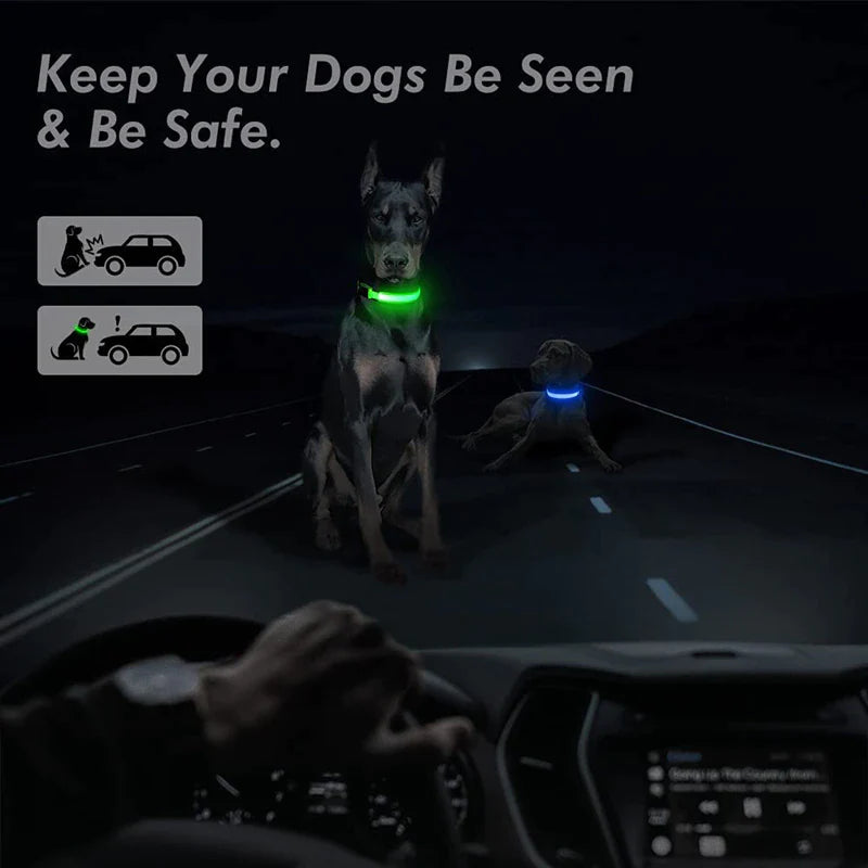 Illuminate Your Pet's Safety with Our LED Adjustable Dog Collar - Waterproof, Blinking & Flashing Light Up Design