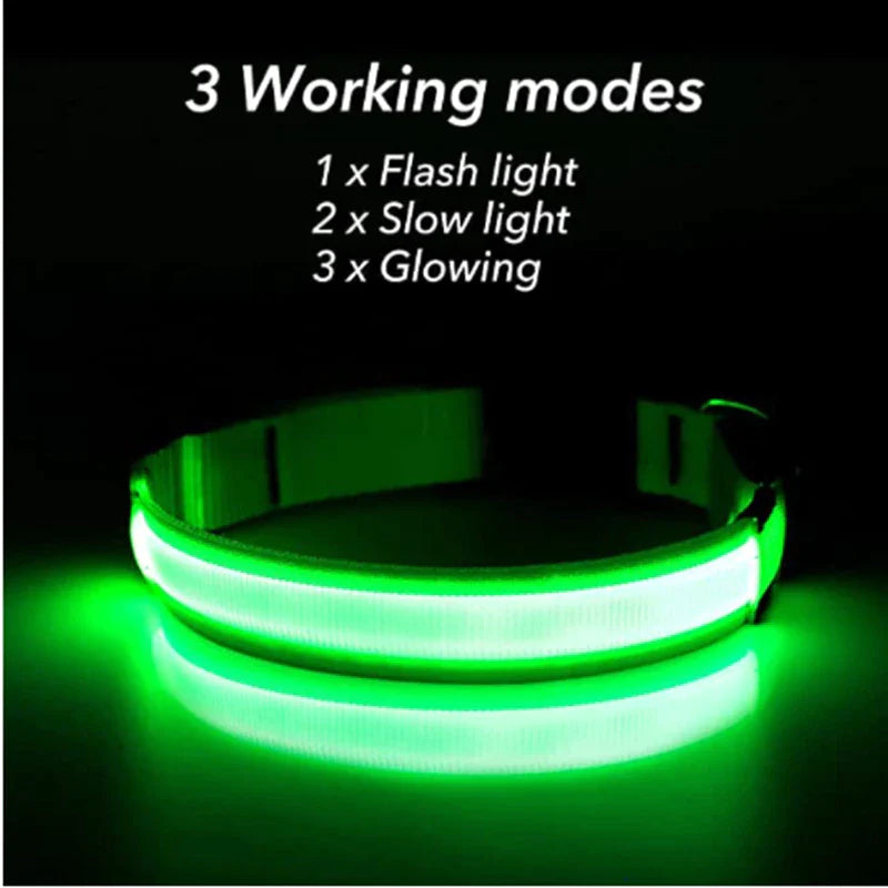 Illuminate Your Pet's Safety with Our LED Adjustable Dog Collar - Waterproof, Blinking & Flashing Light Up Design