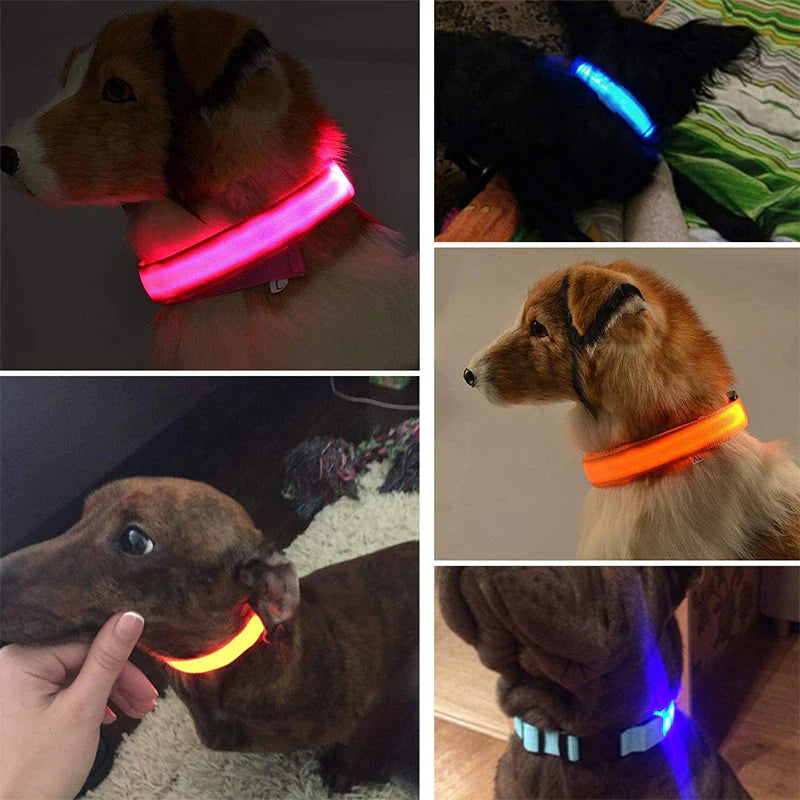 Illuminate Your Pet's Safety with Our LED Adjustable Dog Collar - Waterproof, Blinking & Flashing Light Up Design