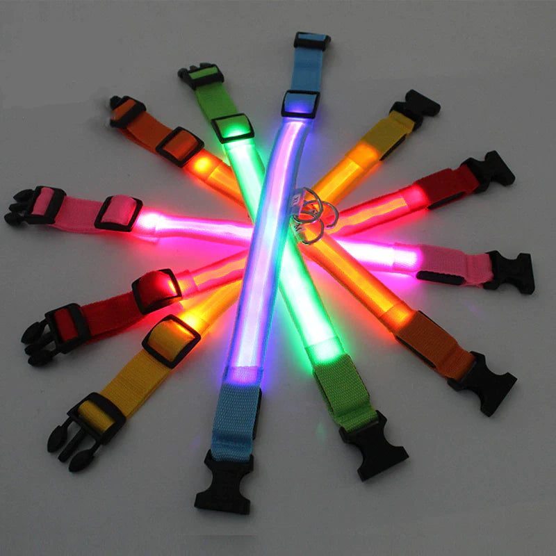 Illuminate Your Pet's Safety with Our LED Adjustable Dog Collar - Waterproof, Blinking & Flashing Light Up Design