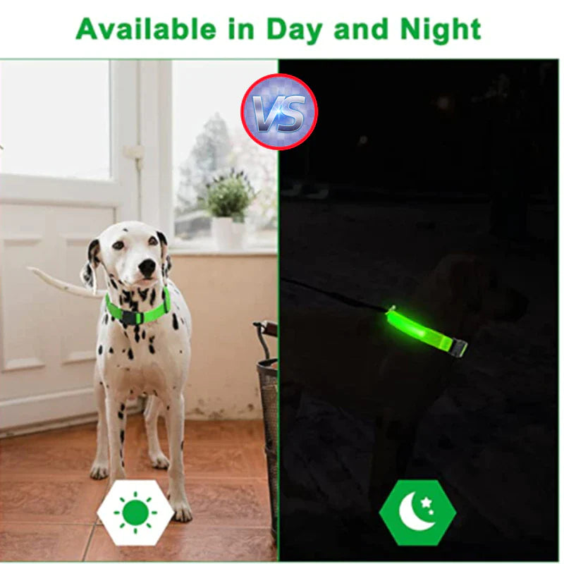 Illuminate Your Pet's Safety with Our LED Adjustable Dog Collar - Waterproof, Blinking & Flashing Light Up Design