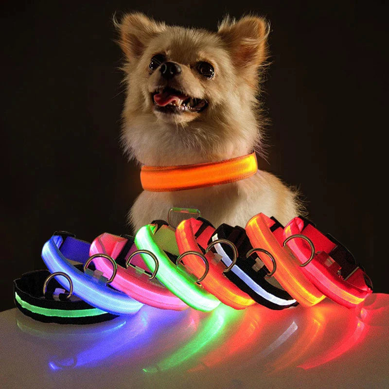 Illuminate Your Pet's Safety with Our LED Adjustable Dog Collar - Waterproof, Blinking & Flashing Light Up Design